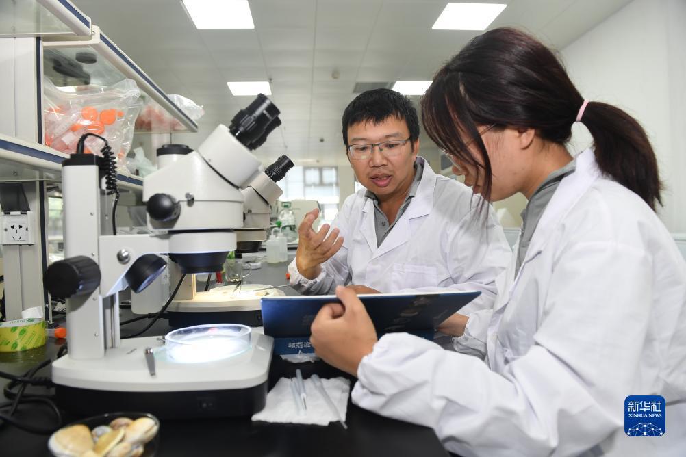捕鱼下游戏大厅
